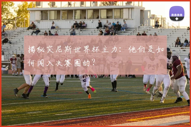 揭秘突尼斯世界杯主力：他们是如何闯入决赛圈的？