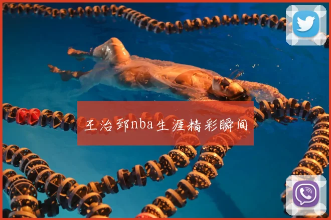 王治郅nba生涯精彩瞬间