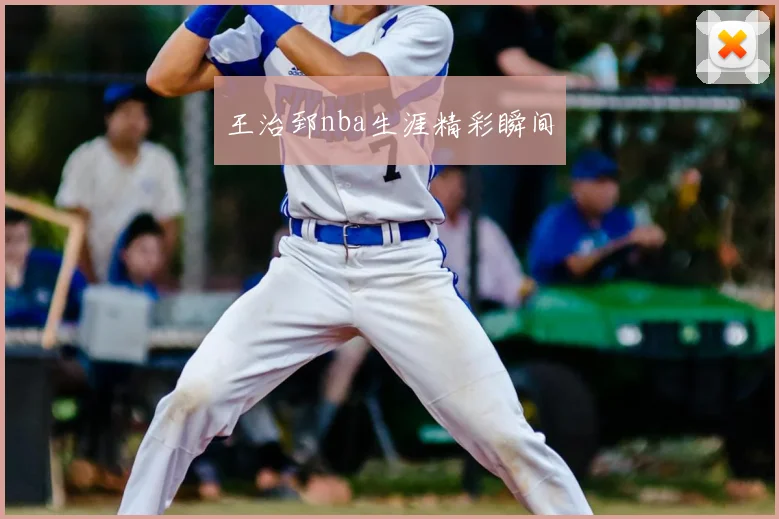王治郅nba生涯精彩瞬间