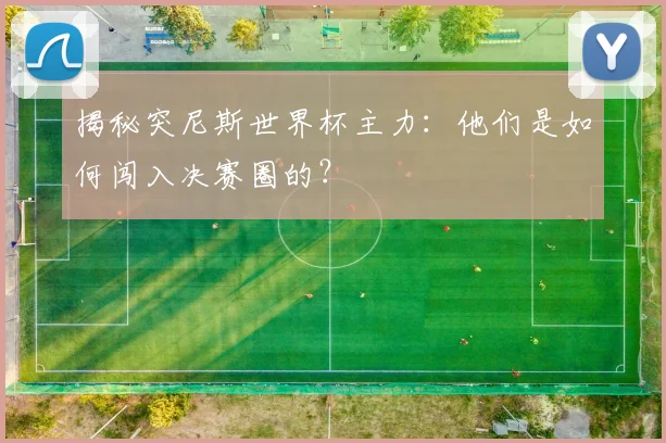 揭秘突尼斯世界杯主力：他们是如何闯入决赛圈的？